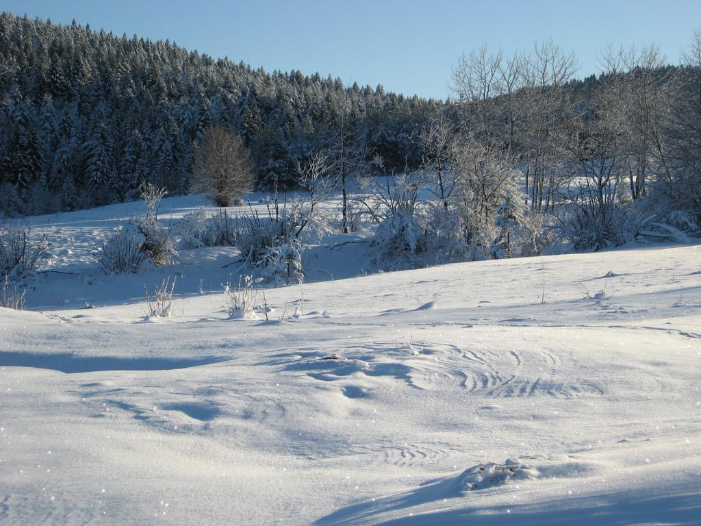 Holiday Home Lana Saborsko Екстер'єр фото